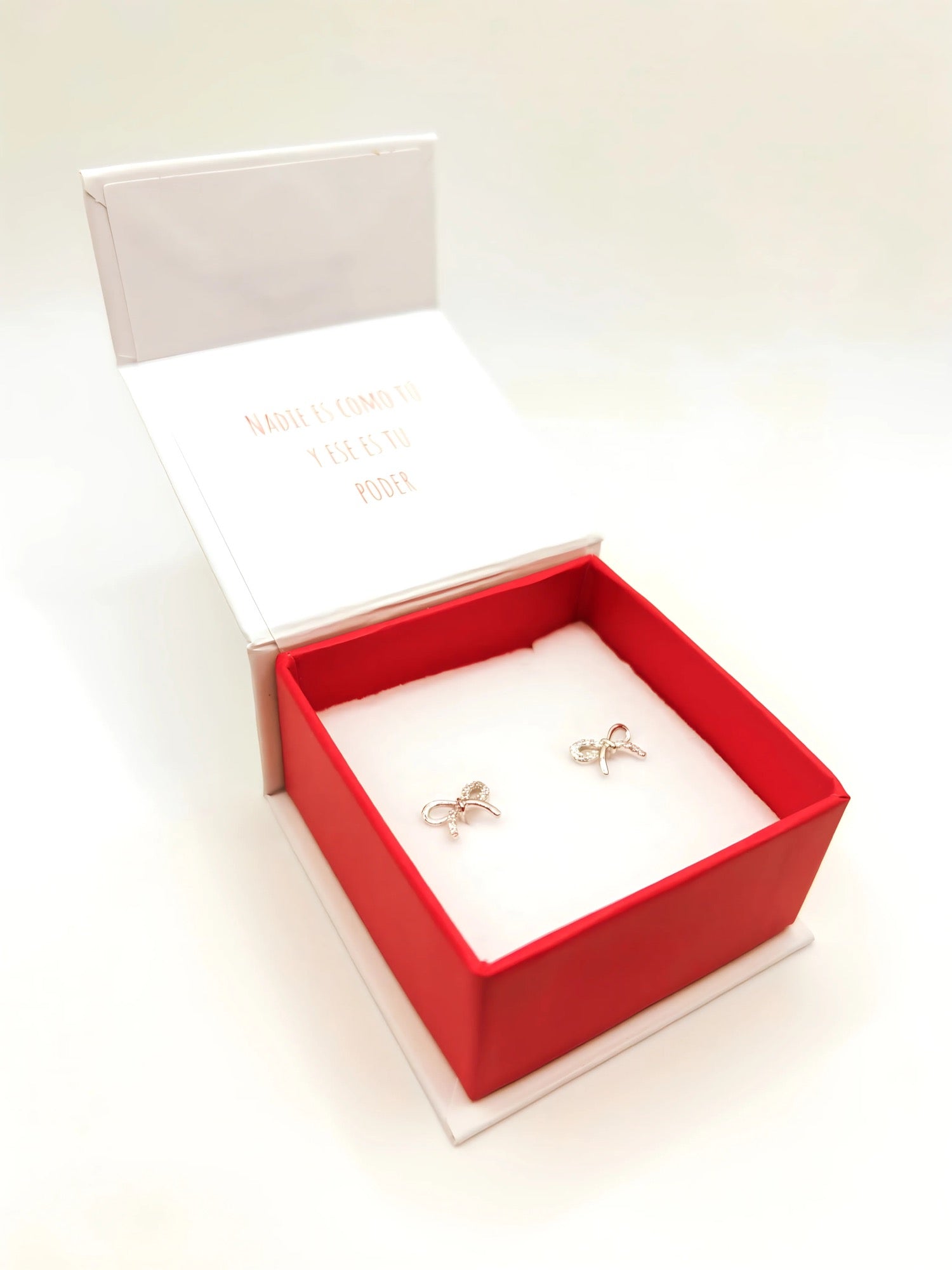 Aros de Cinta Laso con Cirones de Plata 925