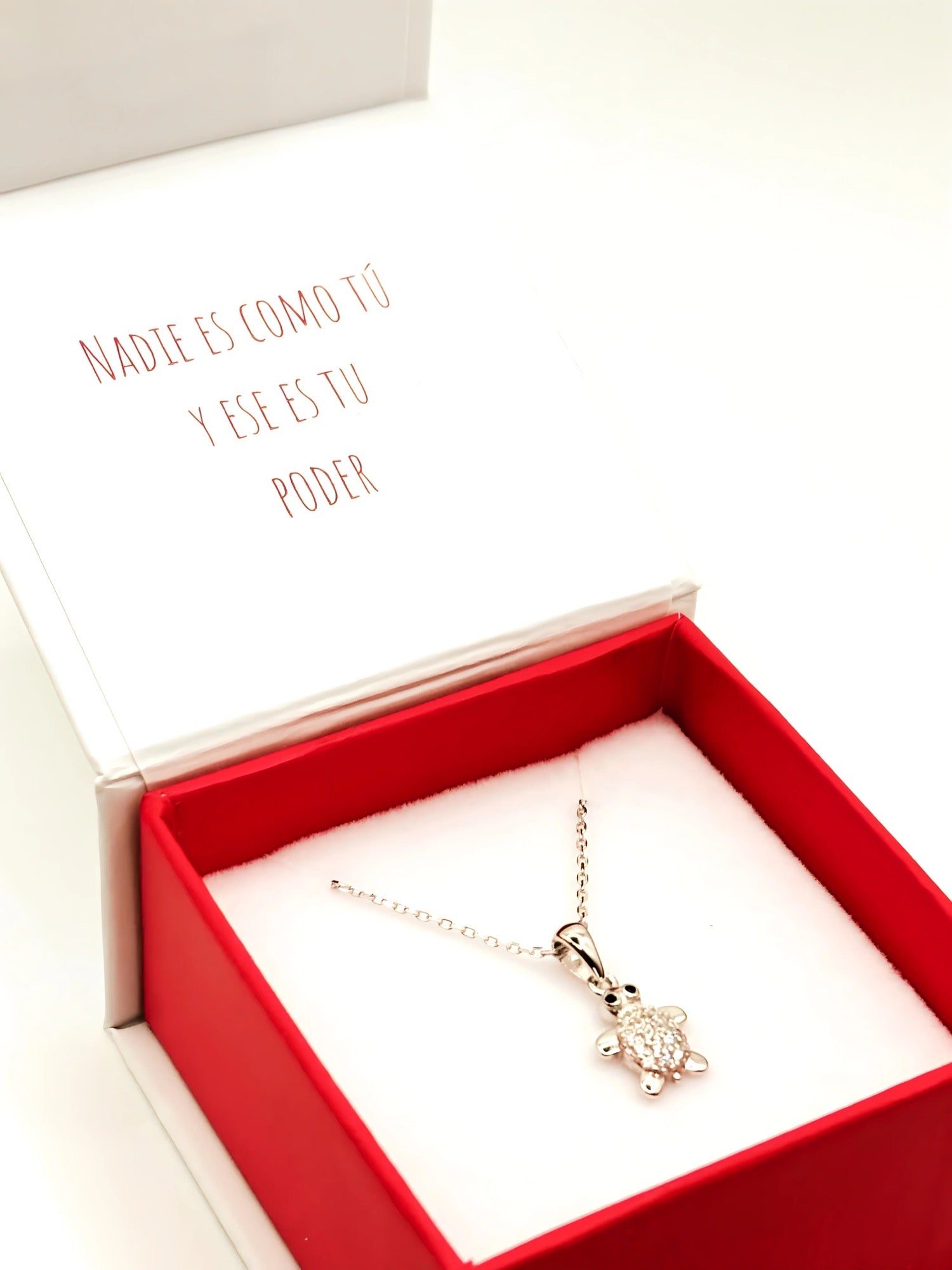 Collar con una Tortuga de 10mm con Circones de Plata 925