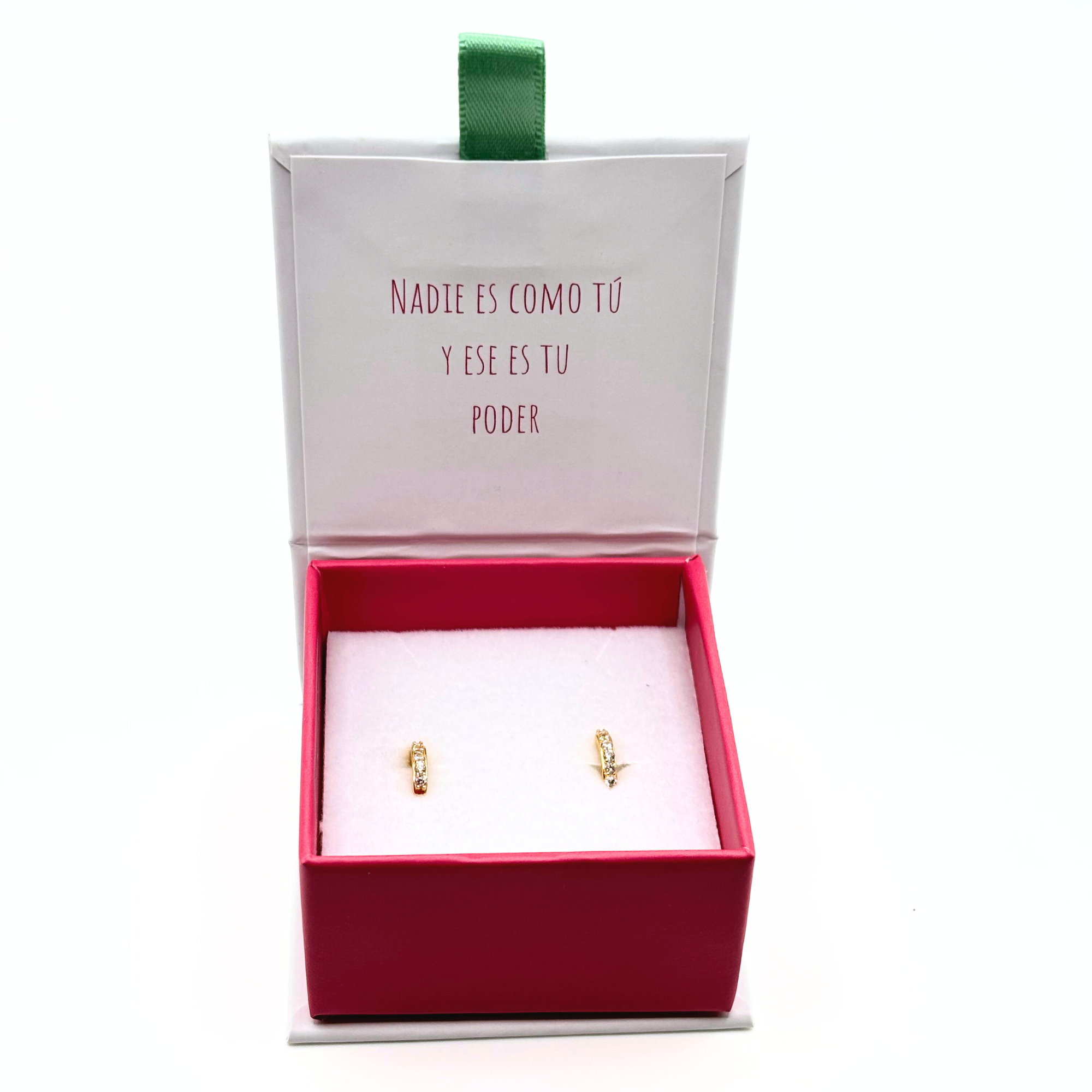 Aro Argollas con Circones de Plata 925